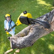 Best Lawn Pest Prevention  in Pelican Bay, FL